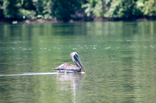 Paseo por los Esteros