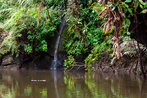 Paseo por los Esteros