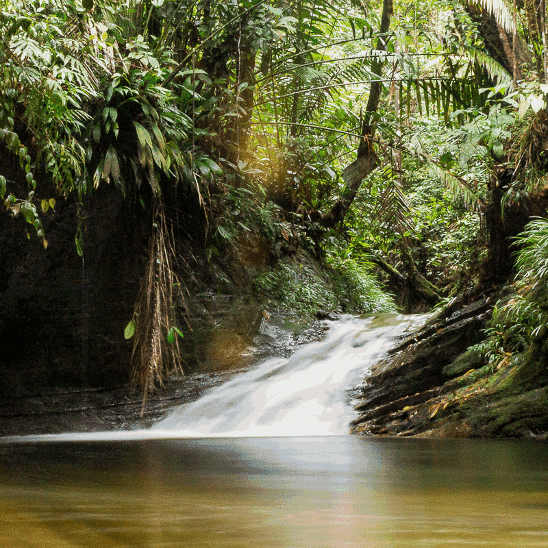Paseo por los Esteros